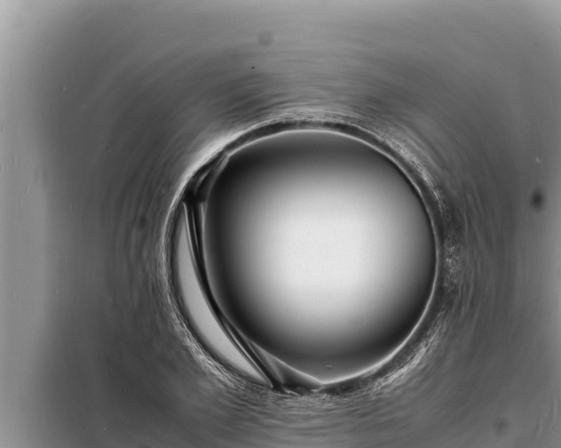 X0000098180981200805011032