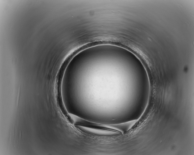 X0000098180983200805011032