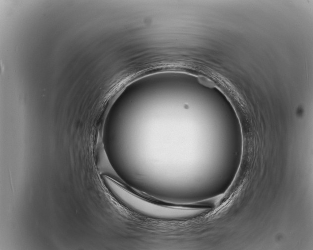 X0000098180985200805011032