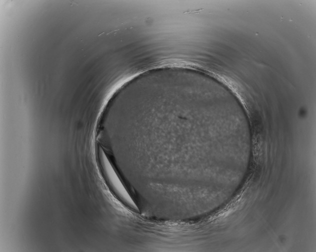 X0000098180987200805011032