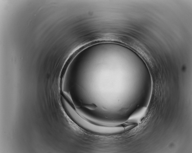 X0000098180988200805011032