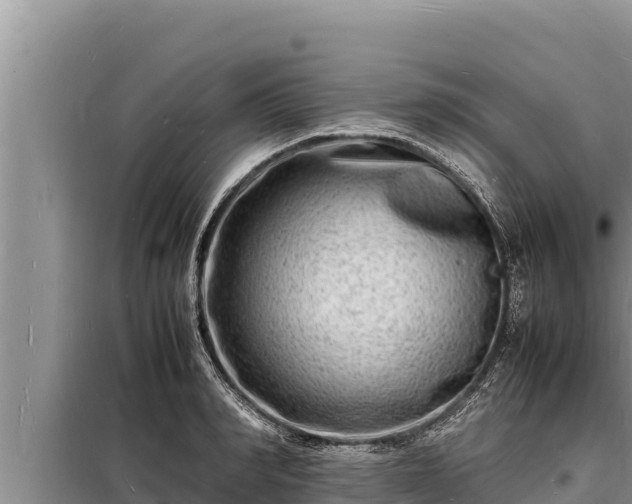 X0000098180990200805011032