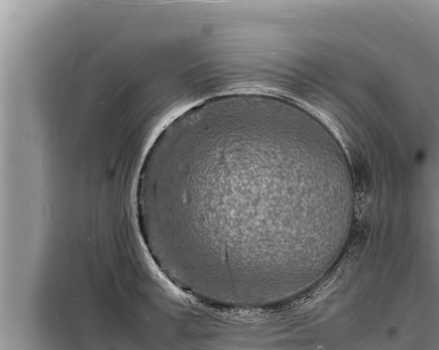 X0000098180995200805011032