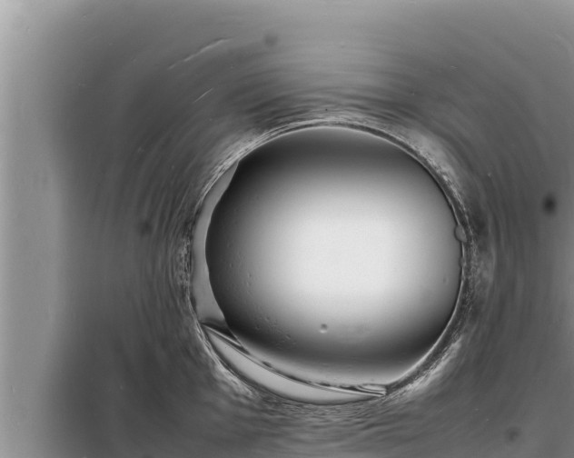 X0000098181001200805011032