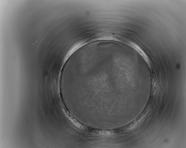 X0000098181002200805011032