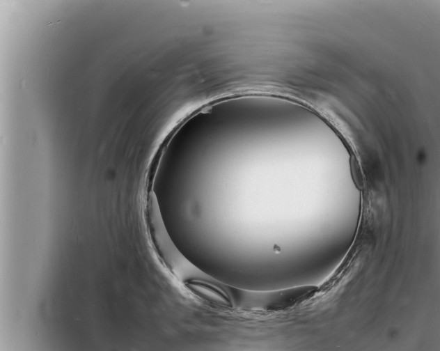 X0000098181005200805011031