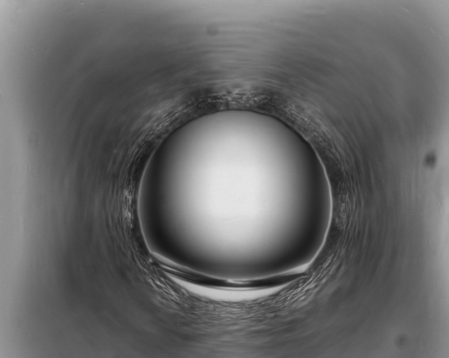 X0000098181010200805011031