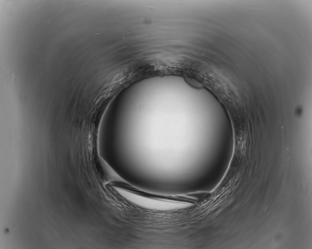 X0000098181012200805011031