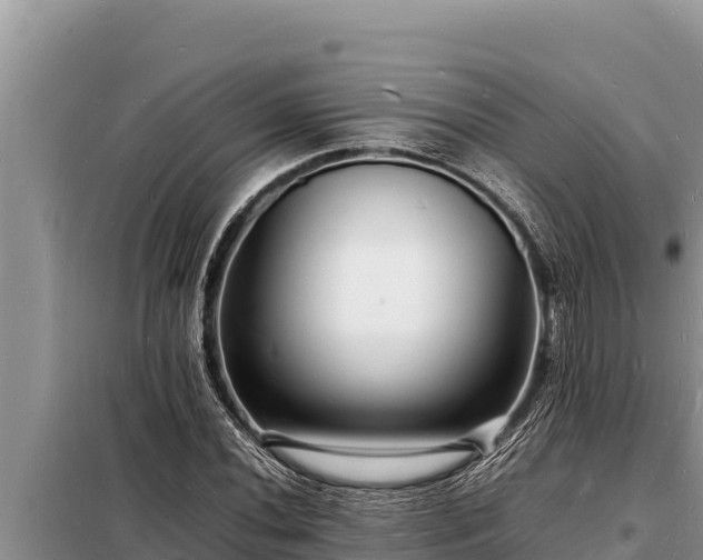 X0000098181020200805011031