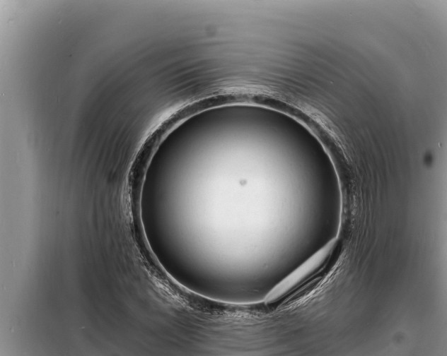 X0000098181022200805011031