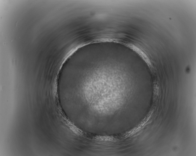 X0000098181023200805011031