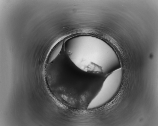 X0000098181024200805011031