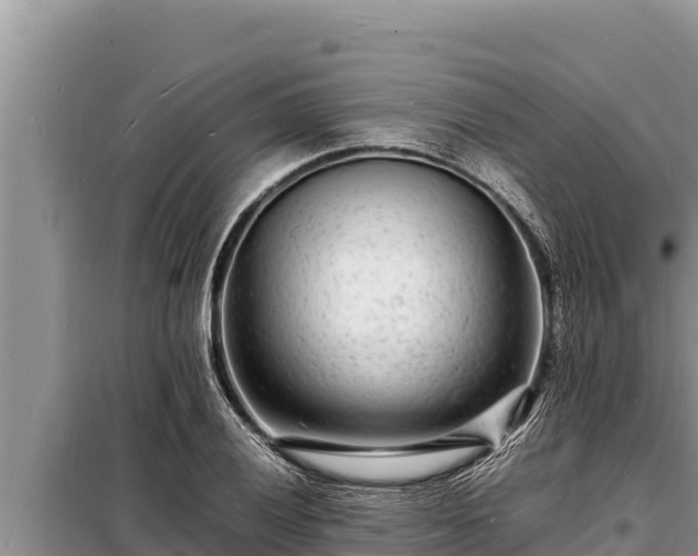 X0000098181028200805011031