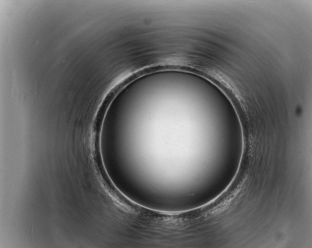 X0000098181029200805011031