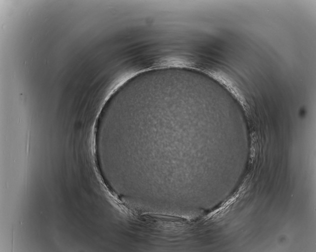 X0000098181031200805011031