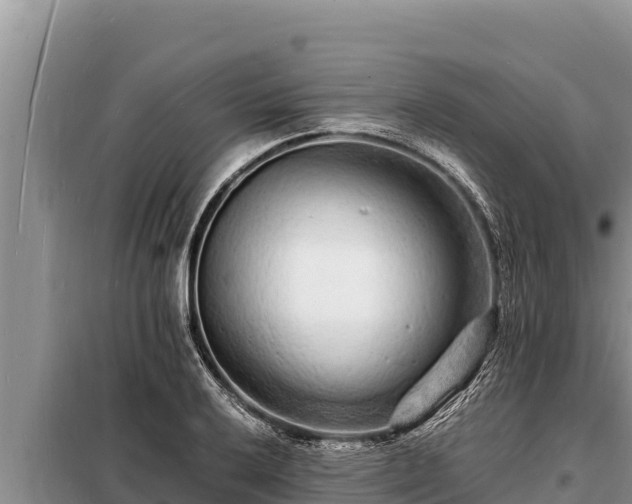 X0000098181032200805011031