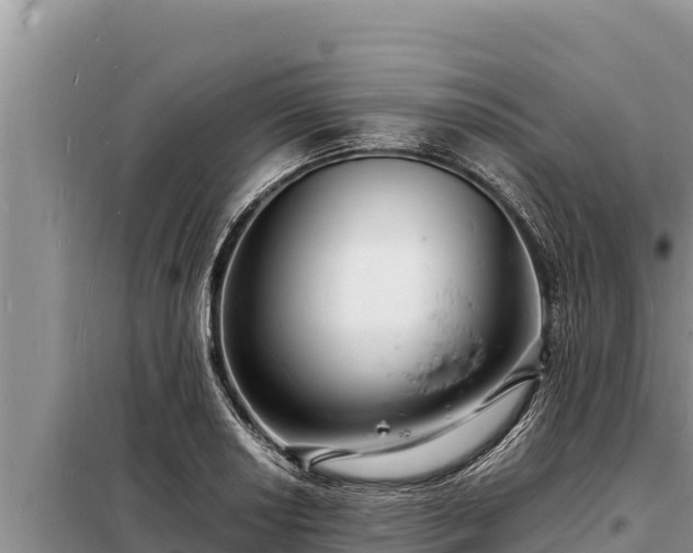 X0000098181034200805011031