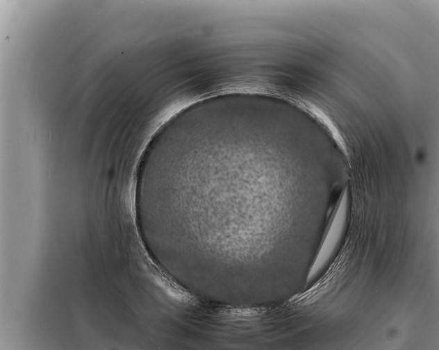 X0000098181035200805011031