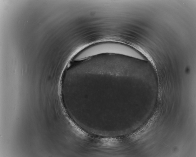 X0000098181037200805011031