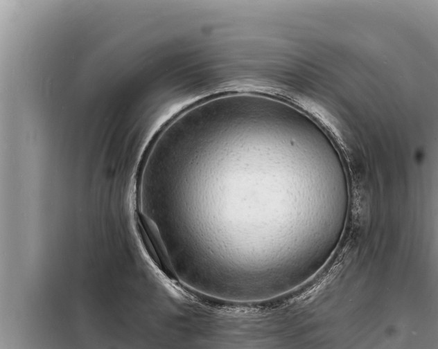 X0000098181040200805011031