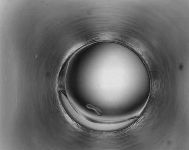 X0000098181042200805011031