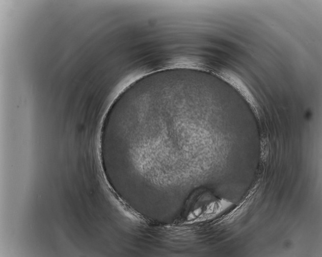 X0000098181043200805011031