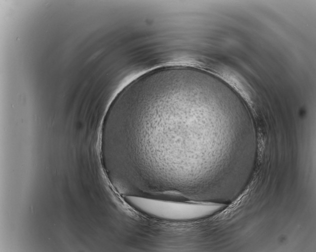 X0000098181044200805011031