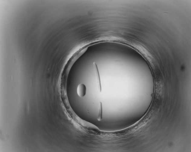 X0000098181046200805011031