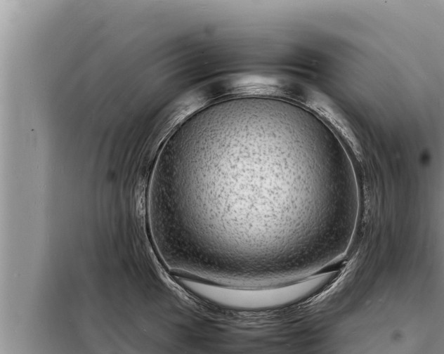 X0000098181049200805011031