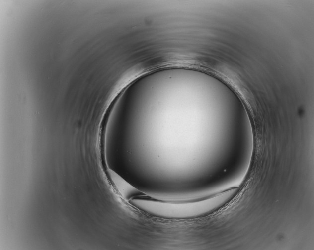 X0000098181050200805011031