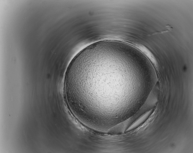 X0000098181052200805011031