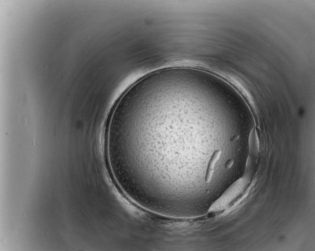 X0000098181054200805011031