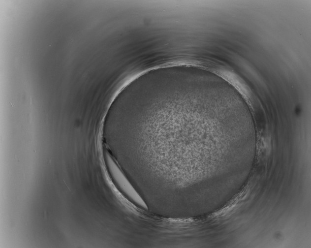 X0000098181055200805011031