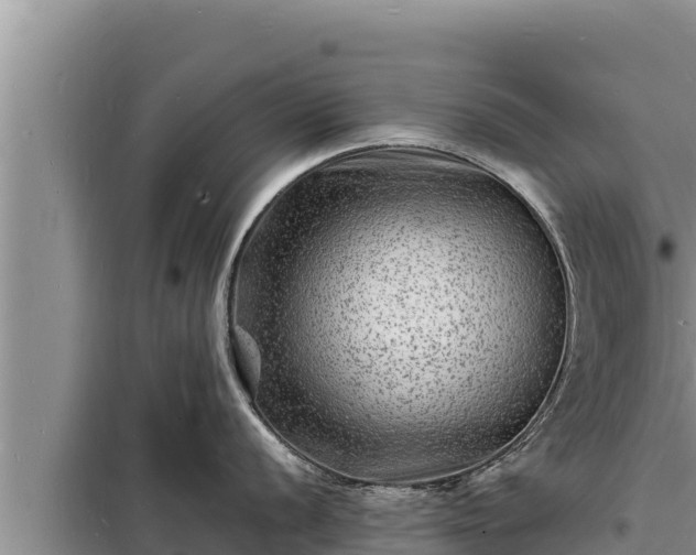 X0000098181056200805011031