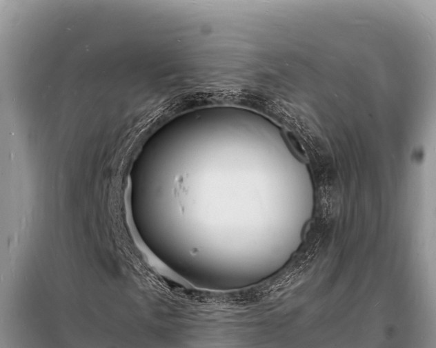 X0000098181057200805011031