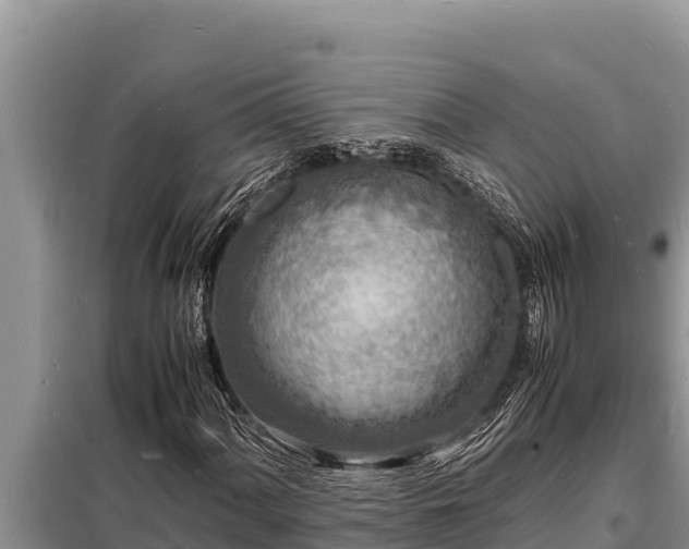 X0000098181060200805011031