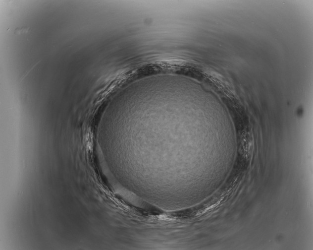 X0000098181061200805011031