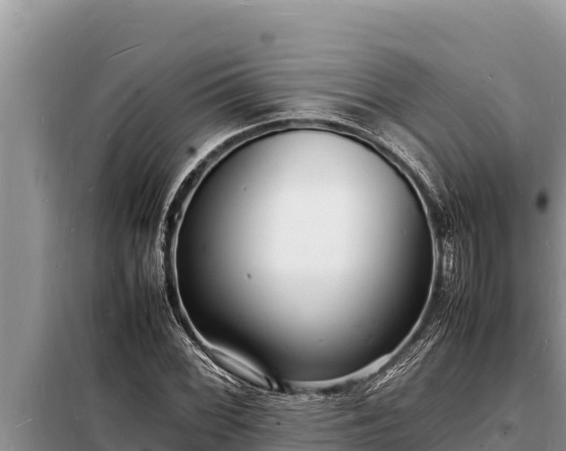 X0000098181068200805011030