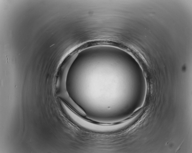 X0000098181069200805011030