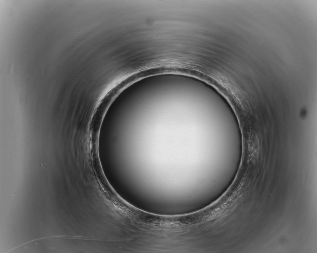 X0000098181070200805011030