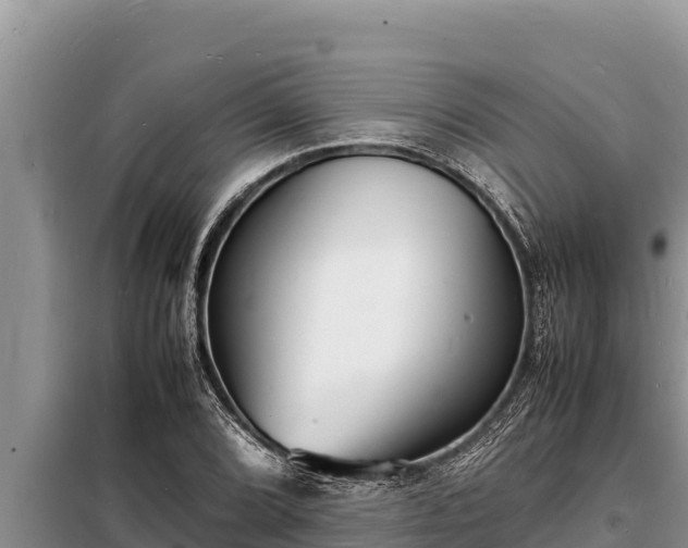 X0000098181072200805011030