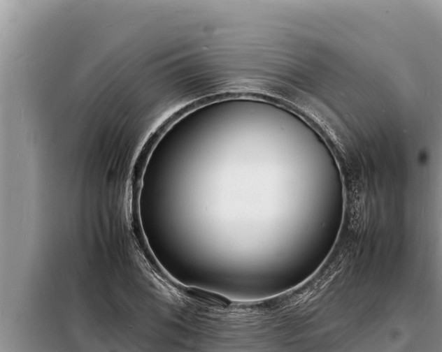 X0000098181076200805011030