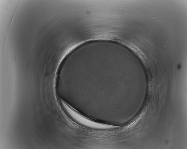 X0000098181077200805011030