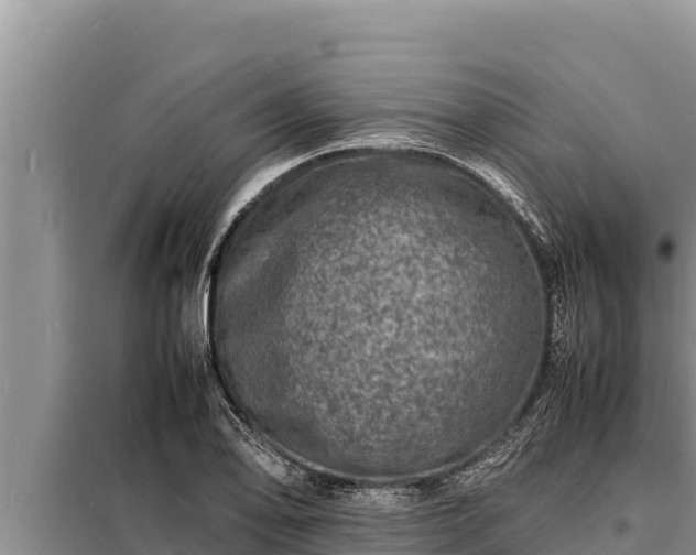 X0000098181078200805011030