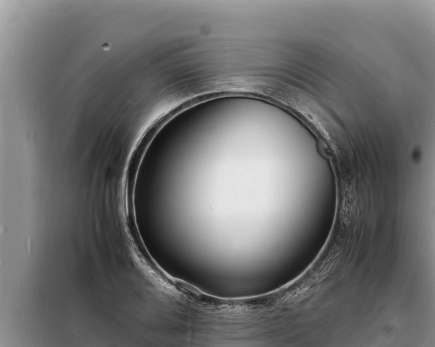 X0000098181080200805011030