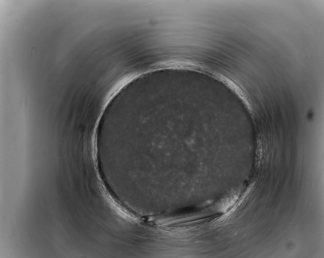 X0000098181082200805011030