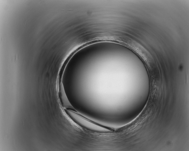 X0000098181084200805011030