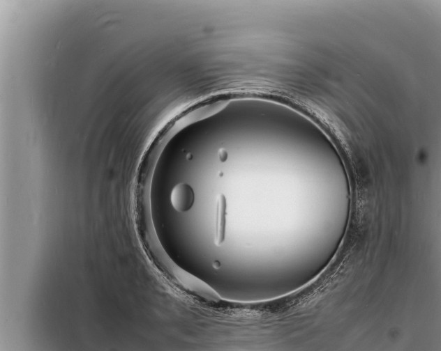 X0000098181085200805011030