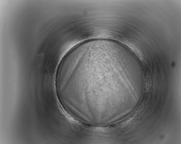 X0000098181086200805011030