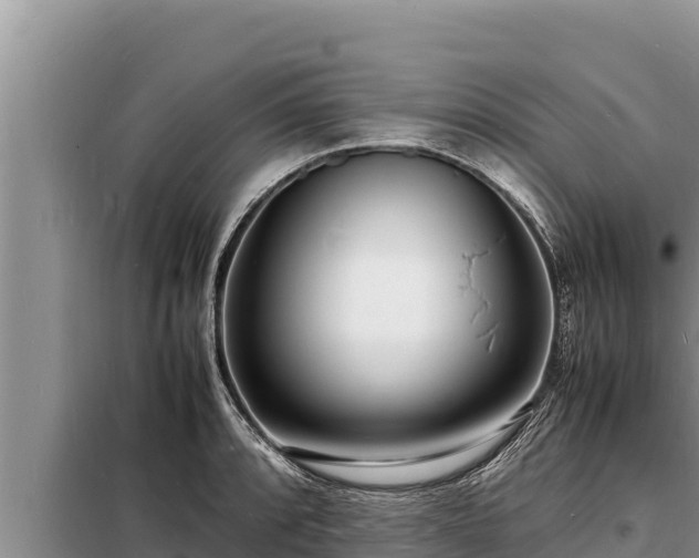 X0000098181088200805011030